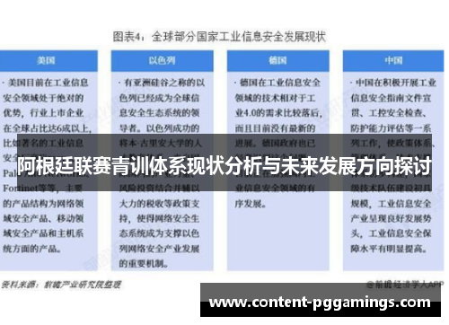 阿根廷联赛青训体系现状分析与未来发展方向探讨 阿根廷联赛青训体系现状分析与未来发展方向探讨