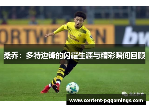 桑乔：多特边锋的闪耀生涯与精彩瞬间回顾
